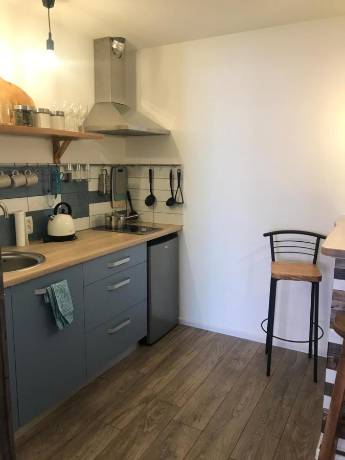 Fazenda Apartment Slavske